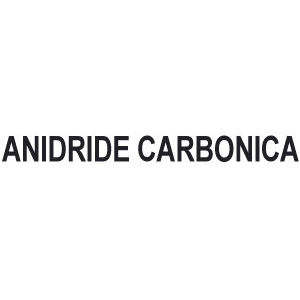 3140GT - CARBON DIOXIDE PRESSURE REGULATORS - Orig. Ewo